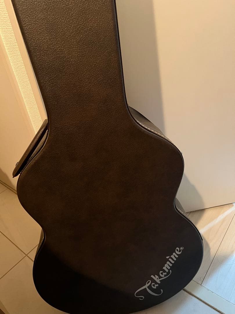 PT108-k Takamine エレアコ　ギター ハードケースその他付き
