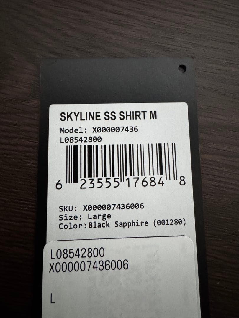 アークテリクス スカイライン SSシャツ メンズＬ