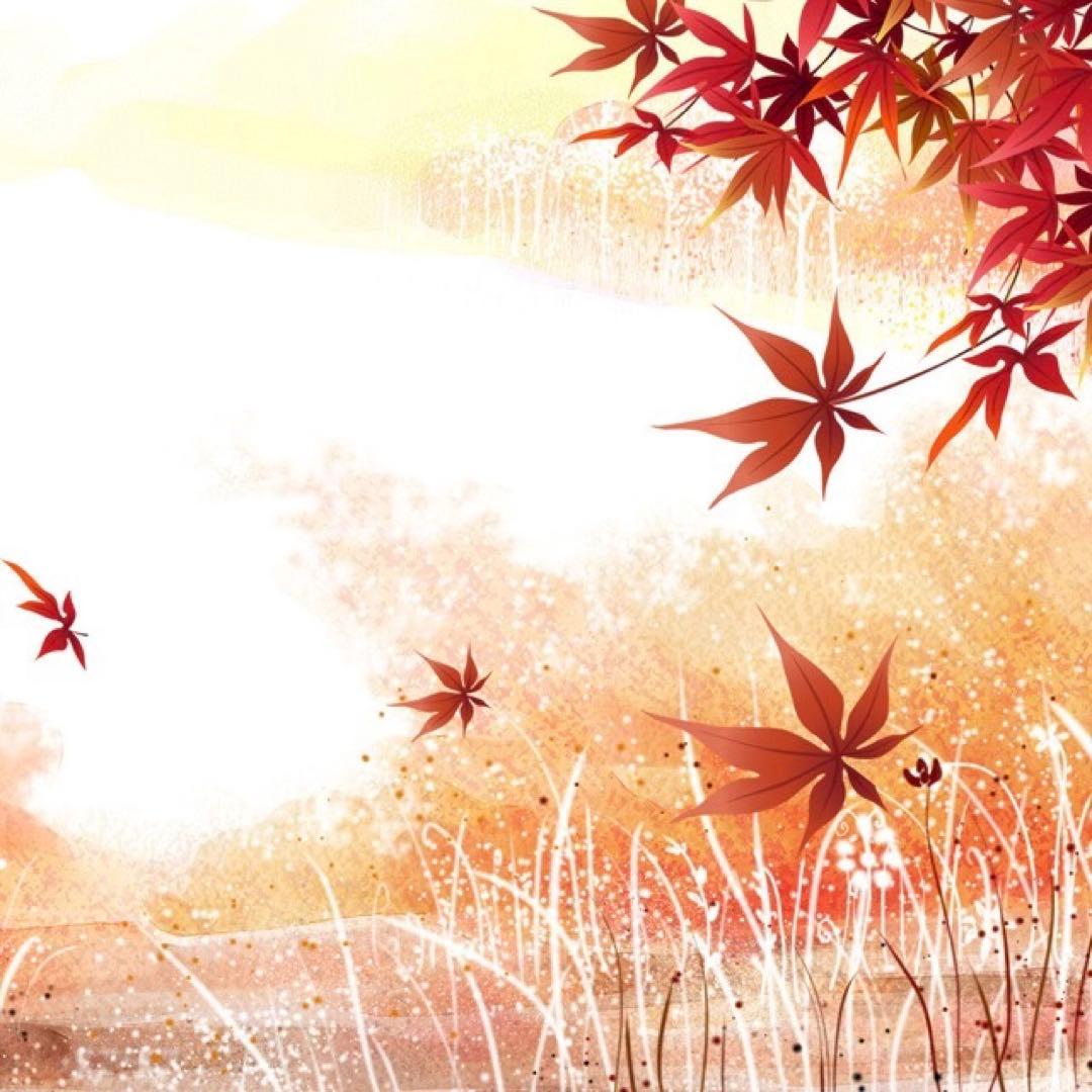 専用【2箱未開封】Q1