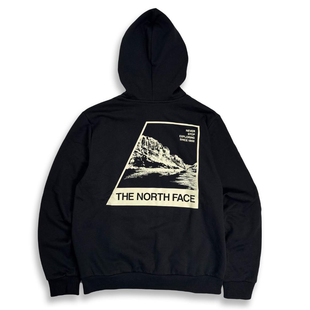ノースフェイス「新品正規品タグ付き」海外限定EVO Retroパーカー