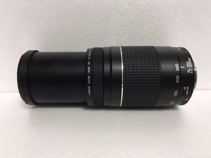 大迫力の300㎜☆ イベント☆キャノン Canon EF75-300㎜