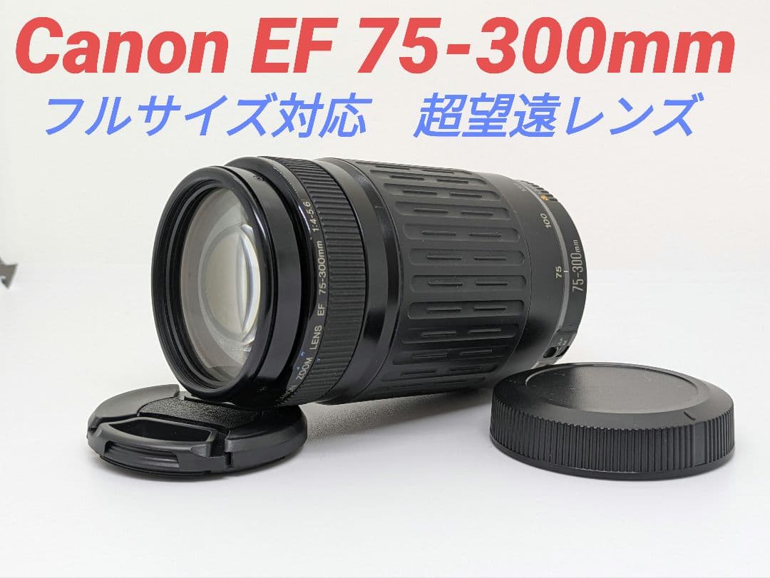 3月3日限定販売♪【超望遠レンズ】Canon EF 75-300mm