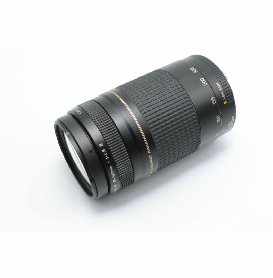 Canon 75-300mm ズームレンズ