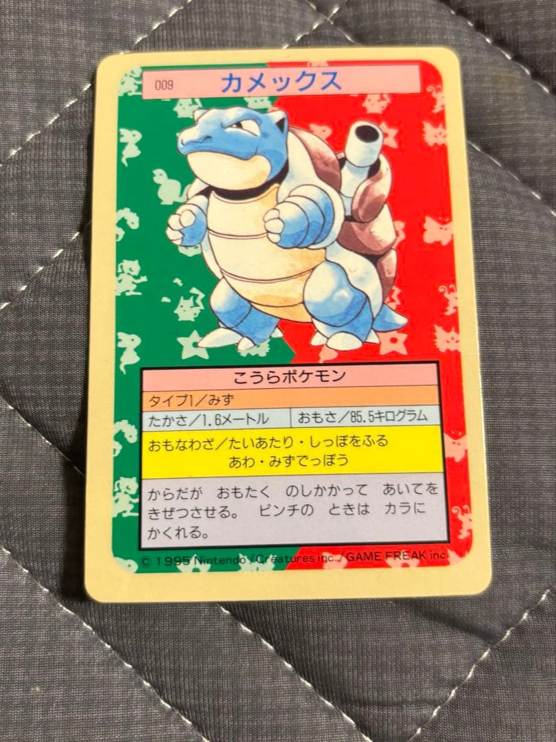 ポケモン トップサン カメックス 裏面 青