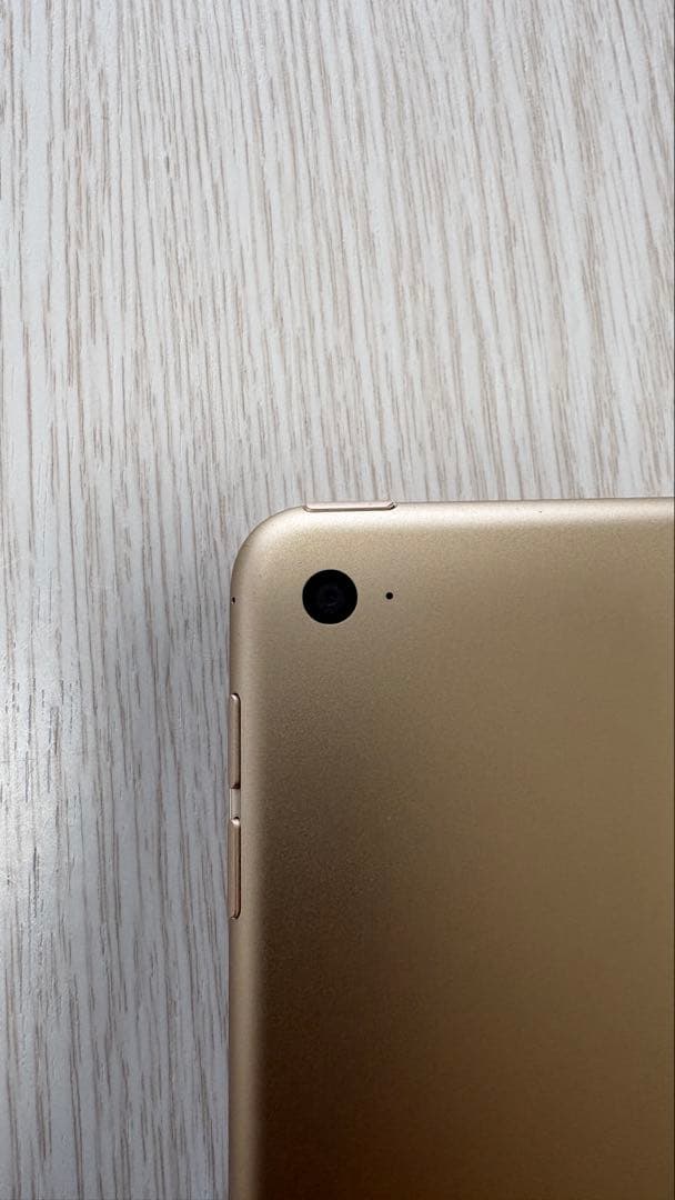 iPad本体 iPad mini4 32G