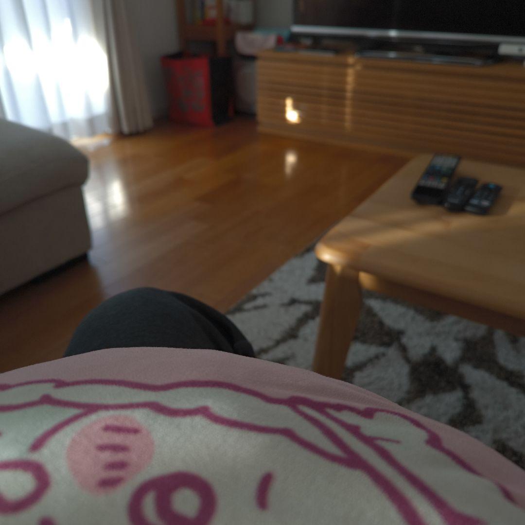 ThinkPad L580 ノートパソコン 第8世代i5 Win11 テンキー