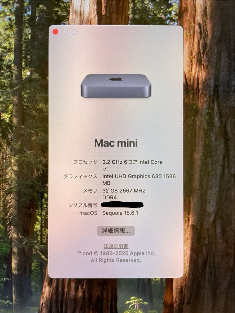 Mac mini 2018 Core i7 32GBメモリ 512GB SSD