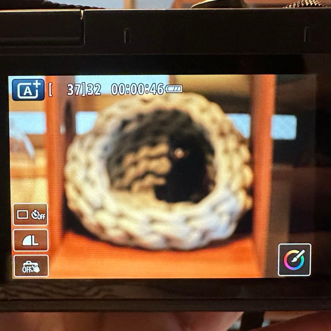 【ジャンク】Canon ミラーレス 望遠レンズ EF-M55-200mm