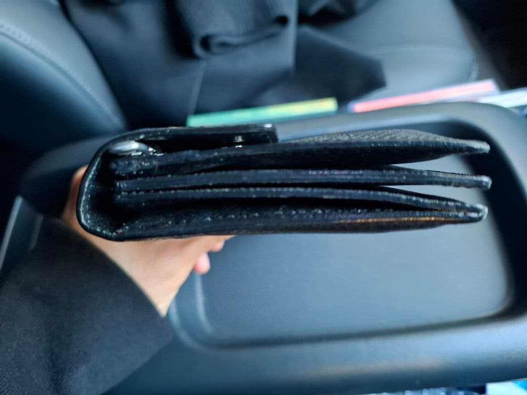 利*行様 ヴィトン　LOUIS VUITTON タイガライン　アコルディオン　長