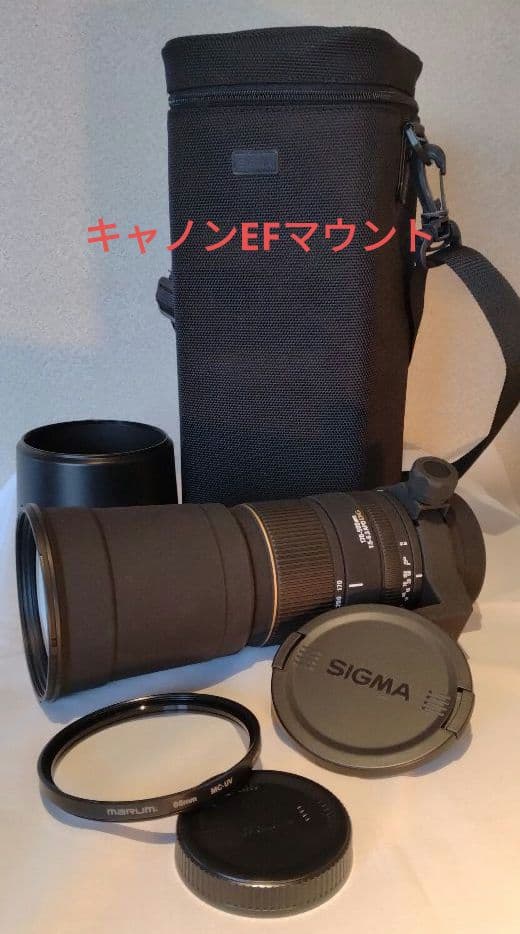 シグマ APO 170-500mm DG ズームレンズ