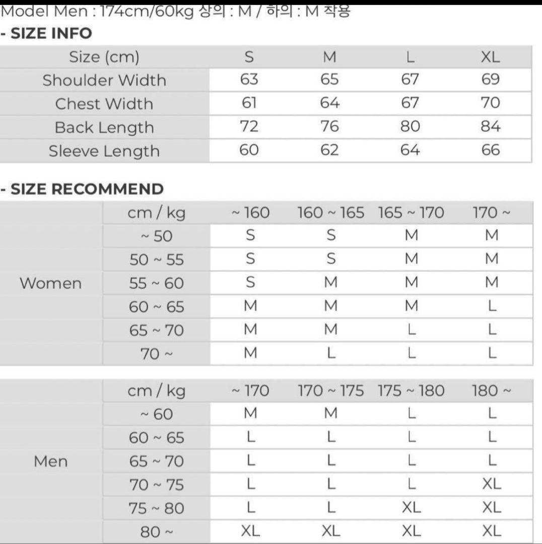 gafh スノーボードウェア　セットアップ　上下Lサイズ