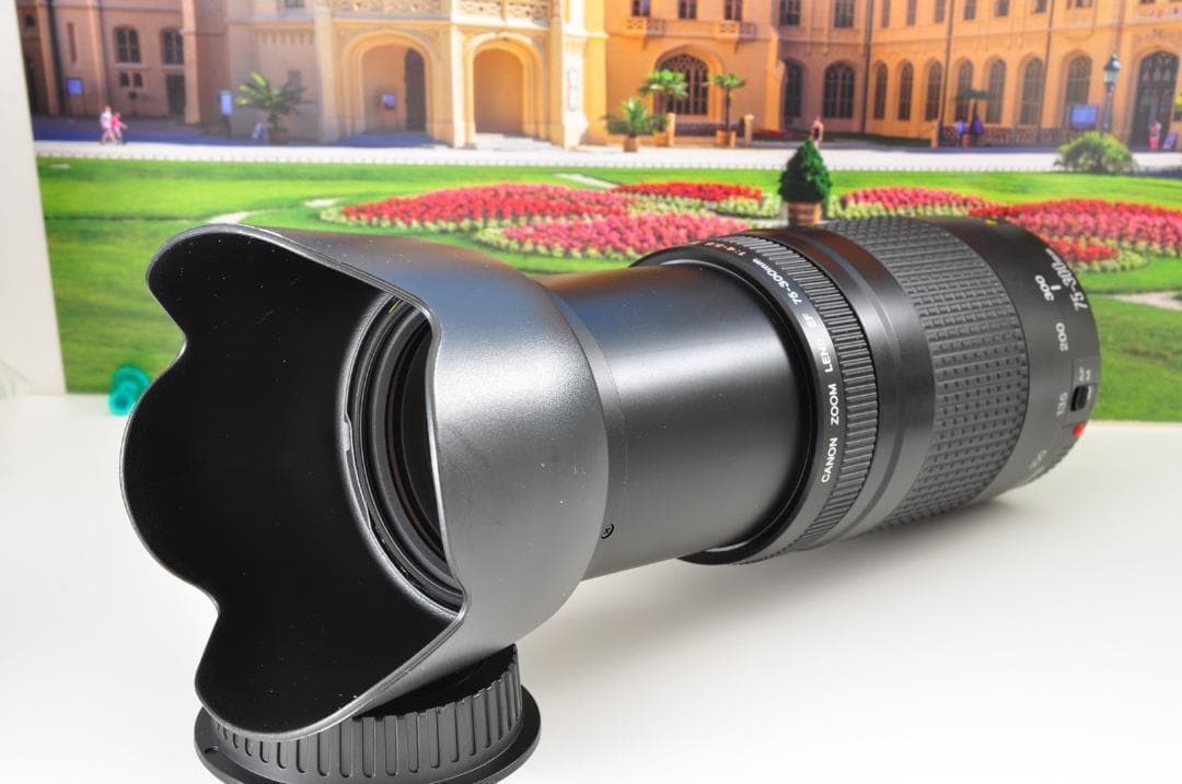 望遠レンズ キヤノン Canon 迫力の75-300mm レンズフード付き！