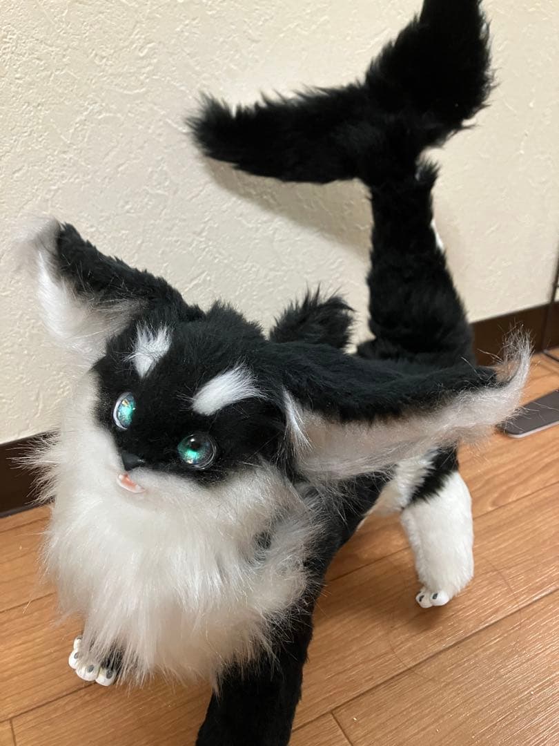 国内作家様　アートドール　シャチっ子　シャチ