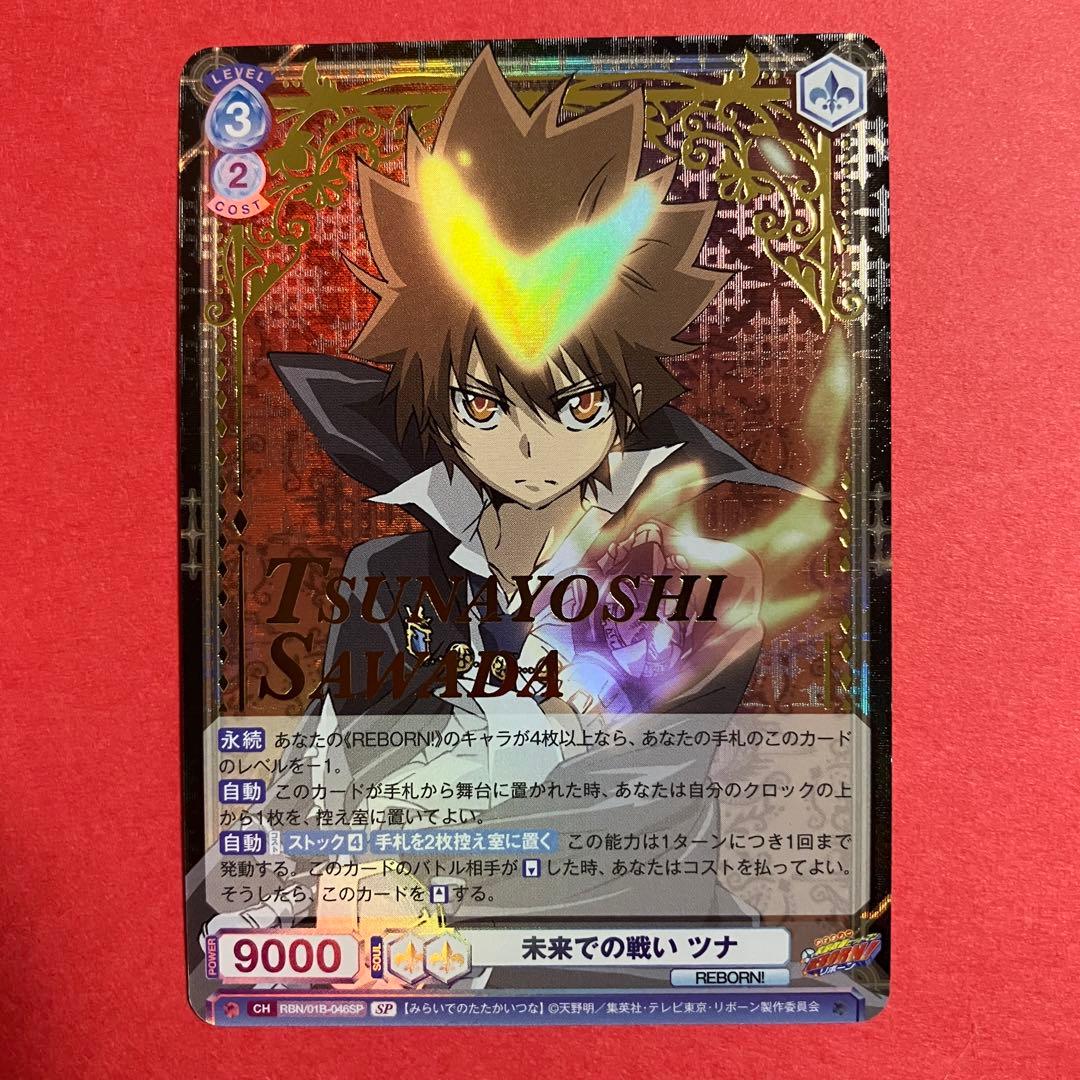 ヴァイスシュバルツブラウ　未来での戦い ツナ 沢田綱吉　sp リボーン