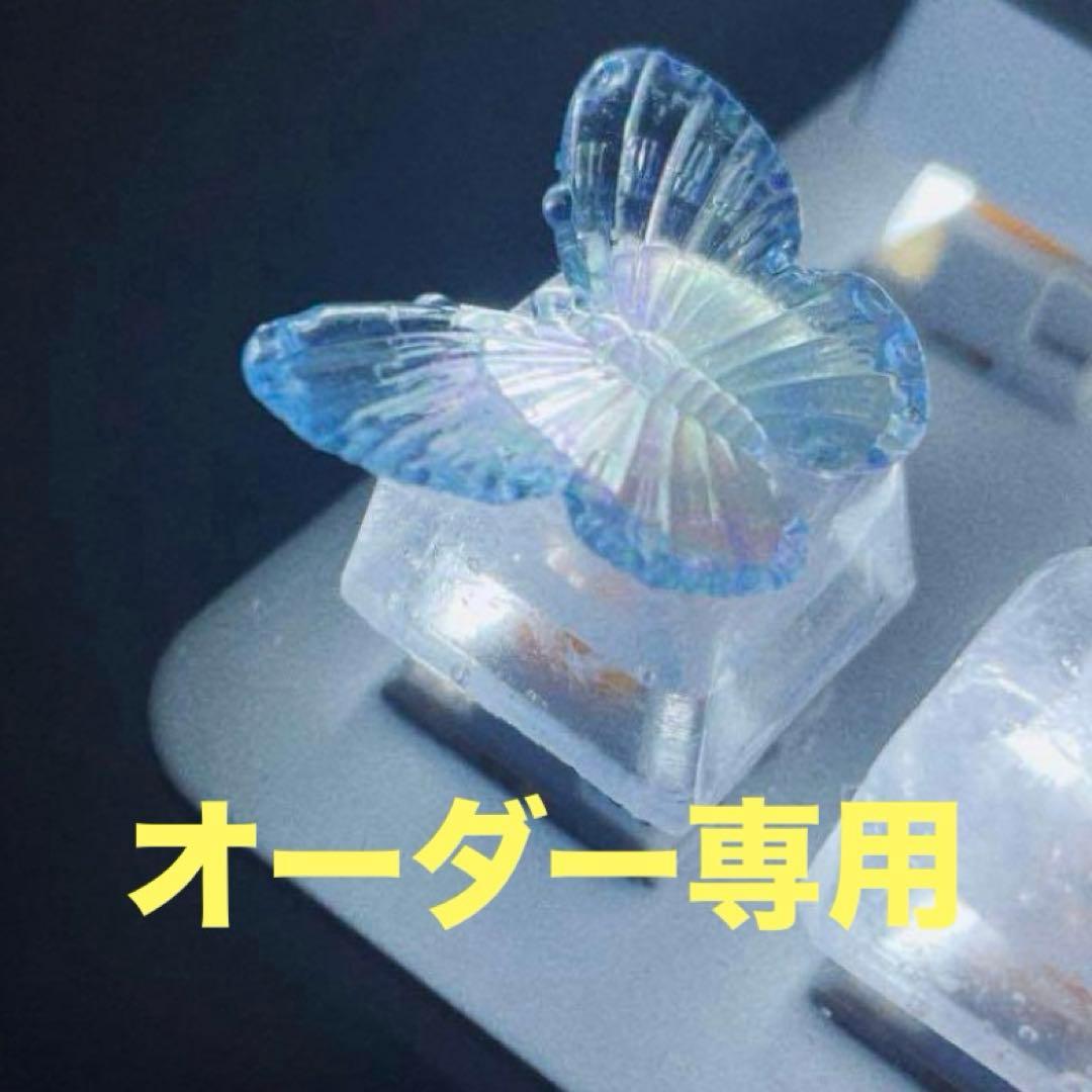 オーダー専用ページ