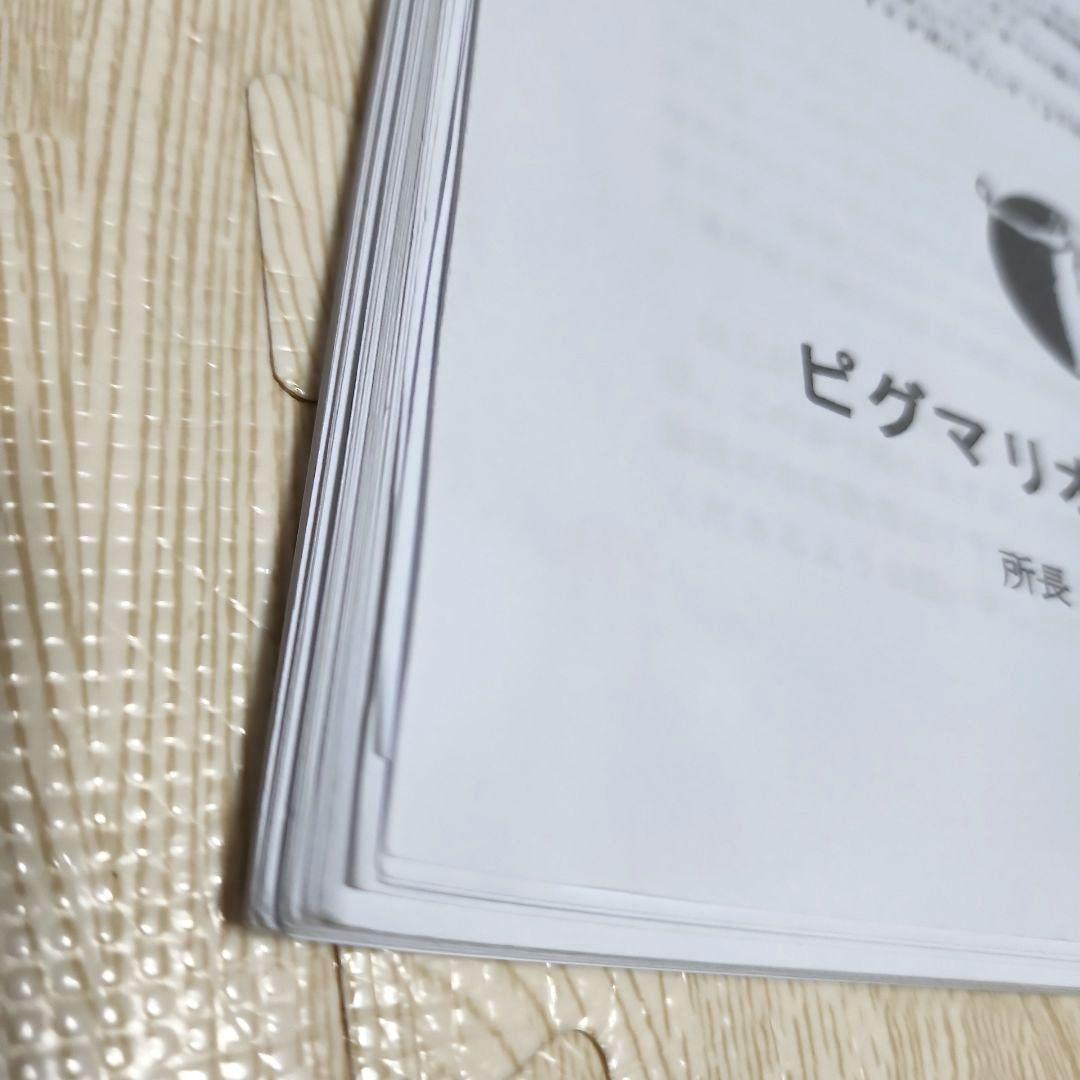 【ピグマリオン ドット棒C型の使い方＆幼児のさんすうⅢセット】