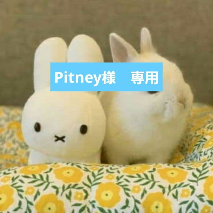 Pitney