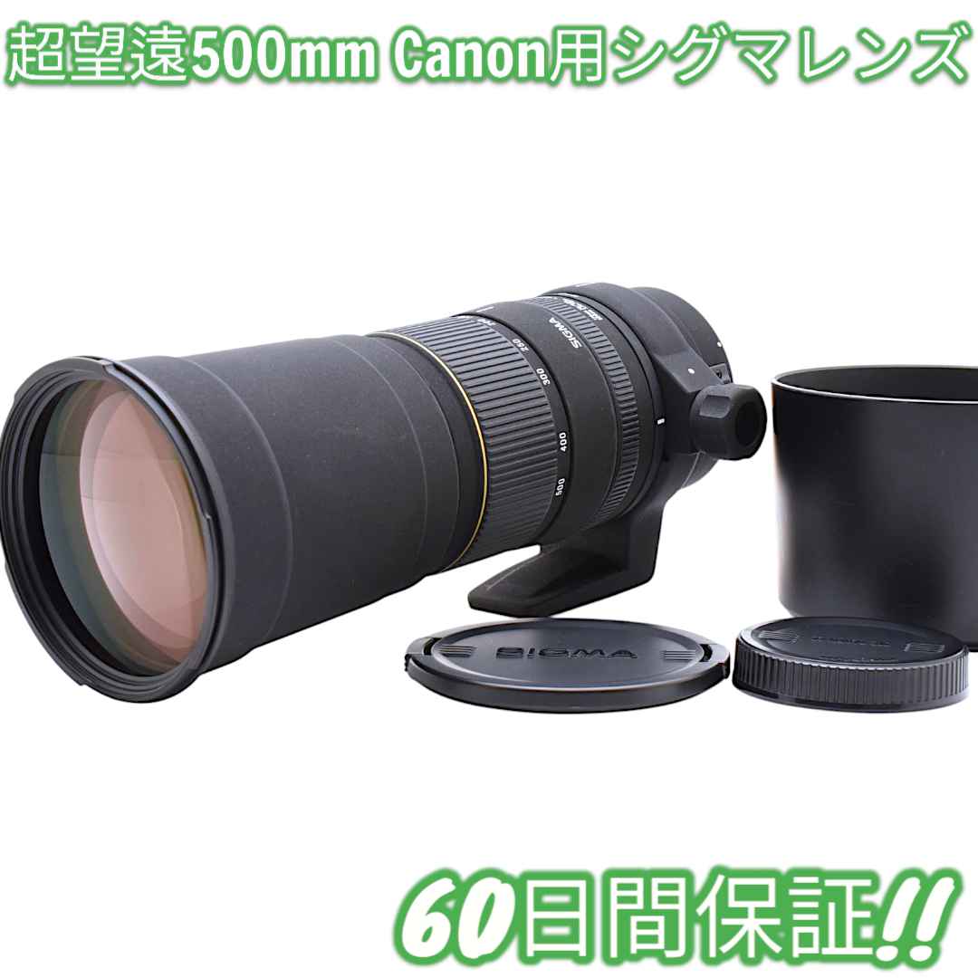 美品 Sigma 170-500mm F5-6.3 DG Canon #8546