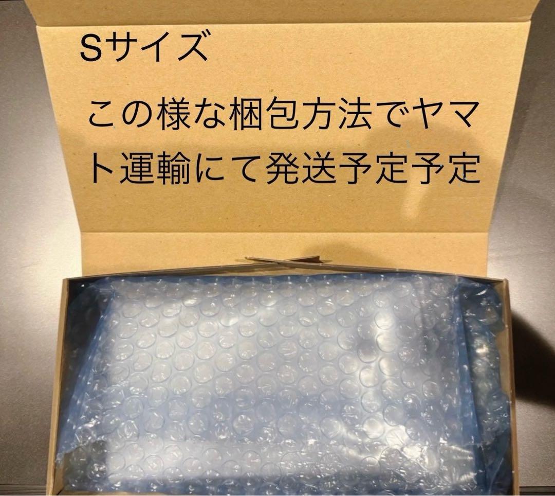 PSA10イーブイex #224 特9322