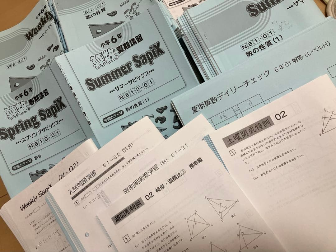 小6 算 デイリーサポート デイリーサピックス24回+春期•夏期 ウィークNプリ