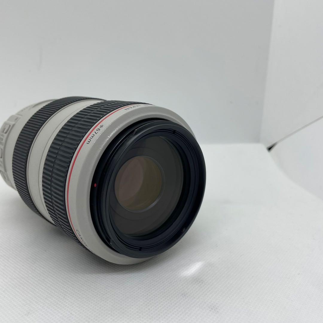 c*o様 Canon EF 70-300mm f/4-5.6 L IS USM