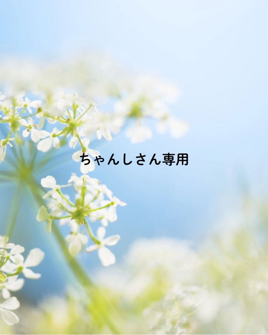ちゃんしさん専用