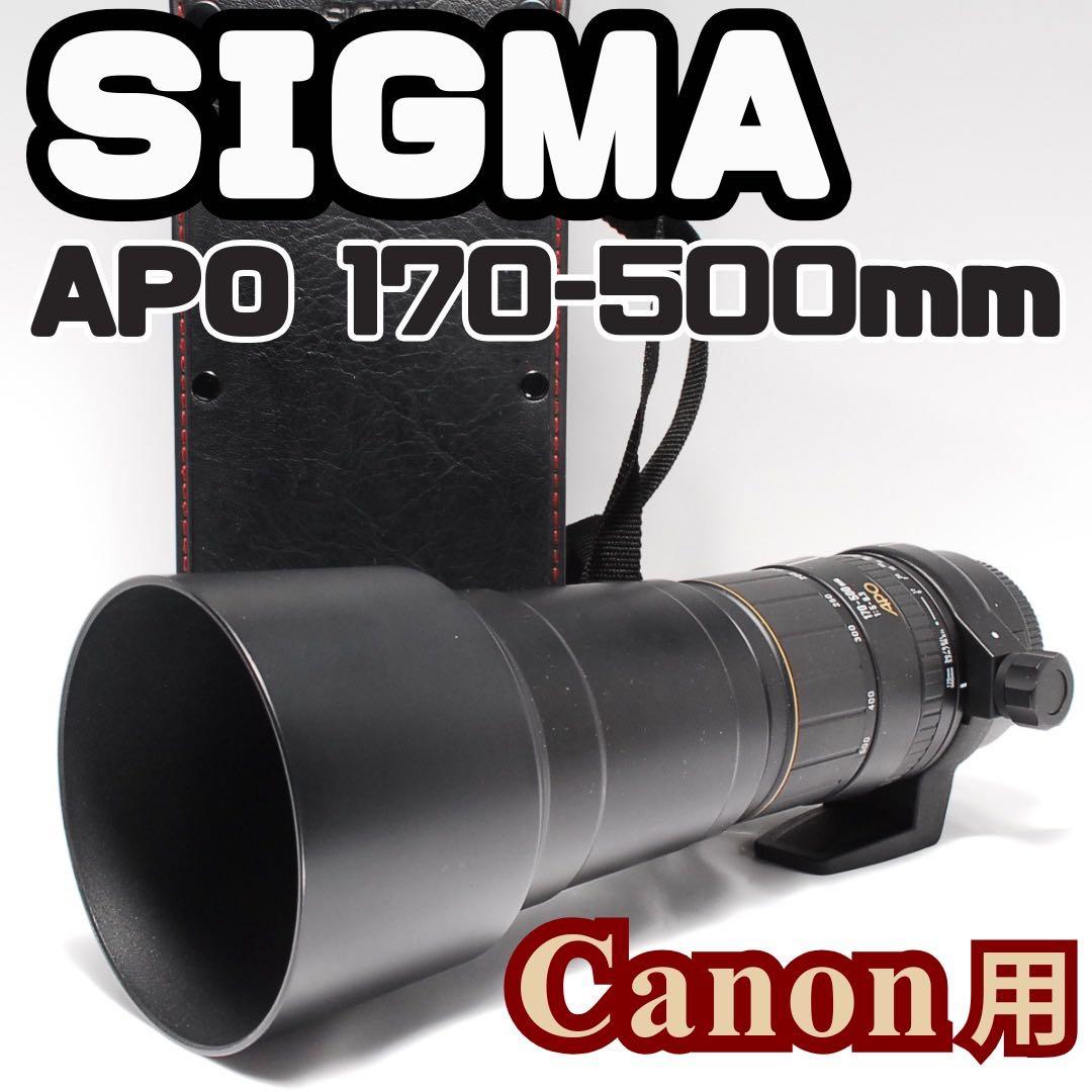 超望遠の世界へ！SIGMA APO 170-500mm F5-6.3 一眼レフ