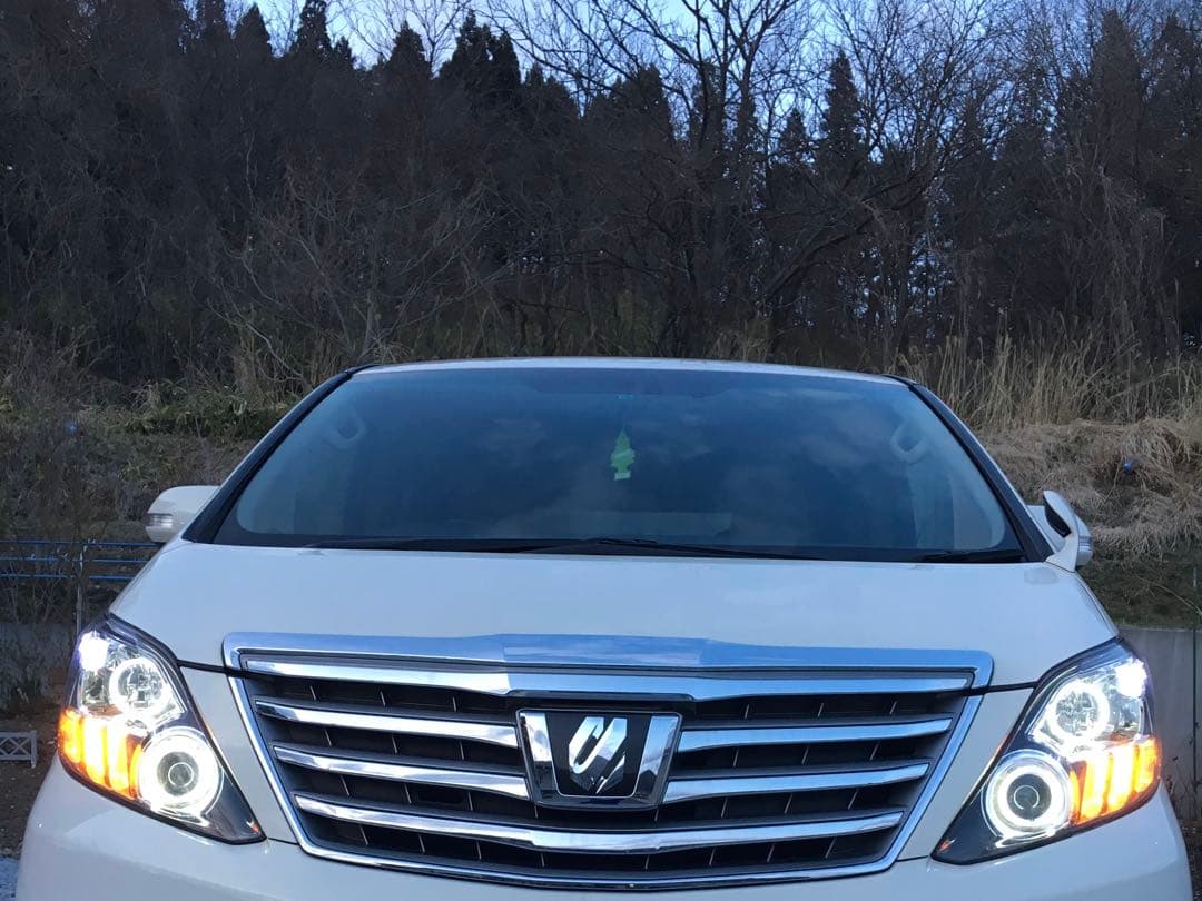 アルファード20後期　ヘッドライト　イカリング