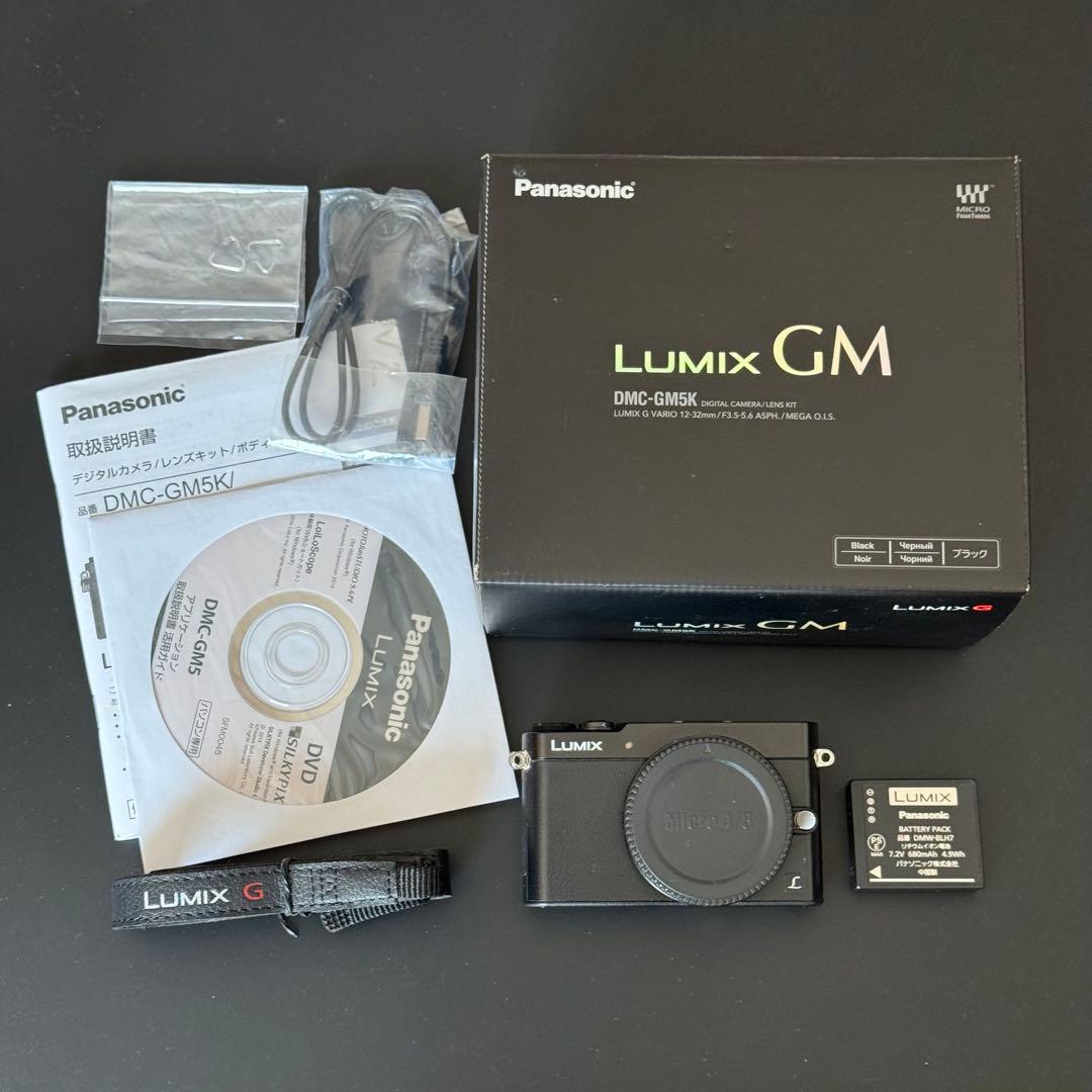 Panasonic LUMIX DMC-GM5 ミラーレス一眼