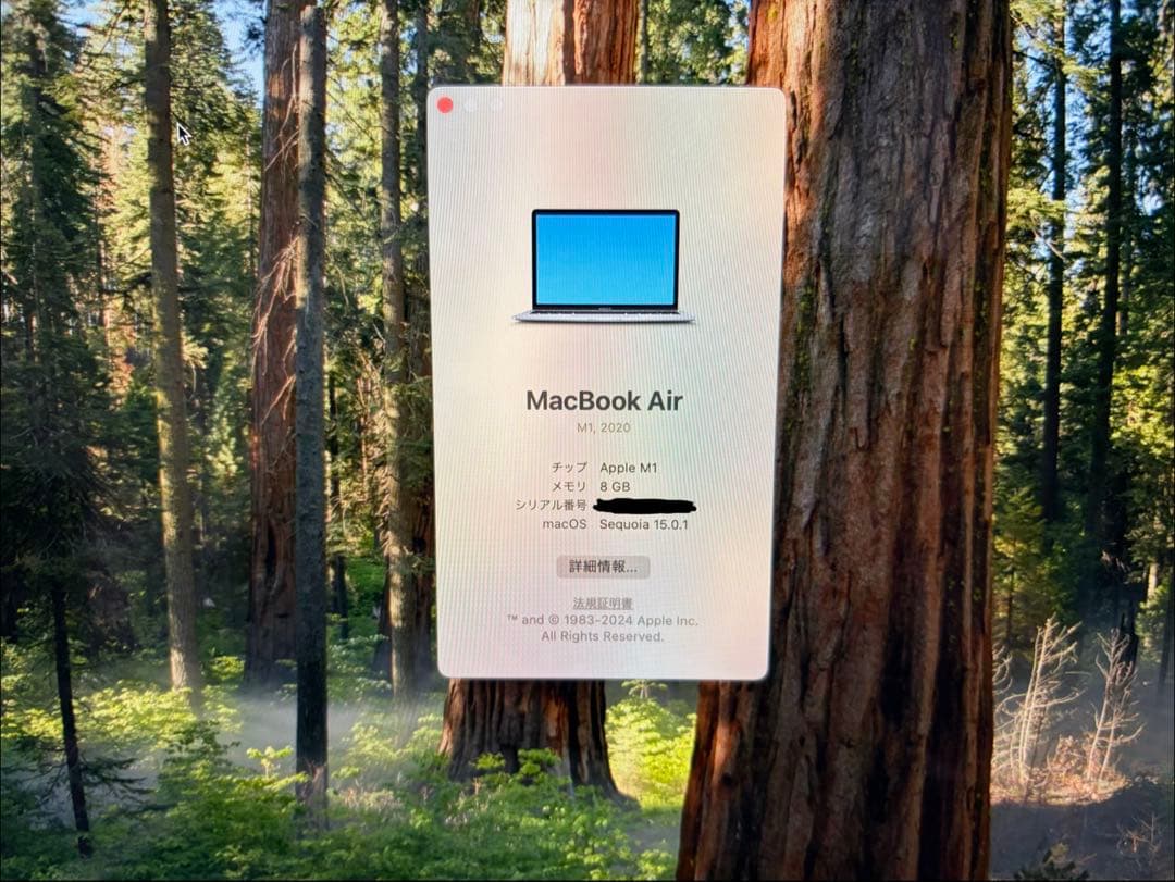 【美品】MacBook Air M1 / 13インチ / 8GB / 256GB