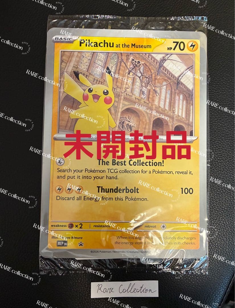 Pikachu at the Museum ピカチュウ ロンドン自然史博物館16