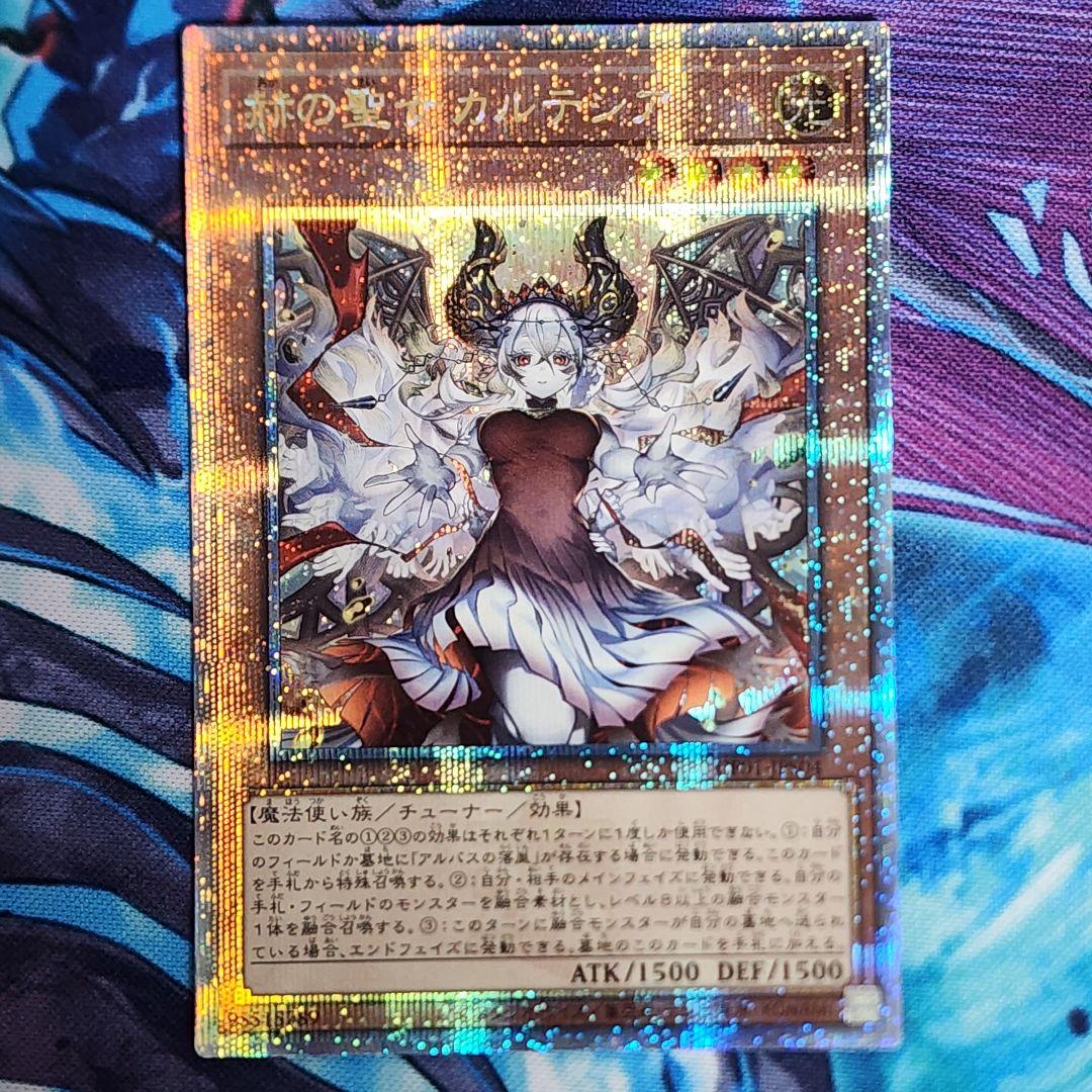 赫の聖女カルテシア クオシク