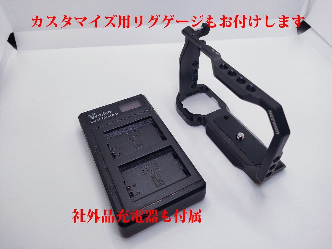 SONY ZV-E10 ミラーレスカメラ フィルターセットで到着後すぐに撮影可能