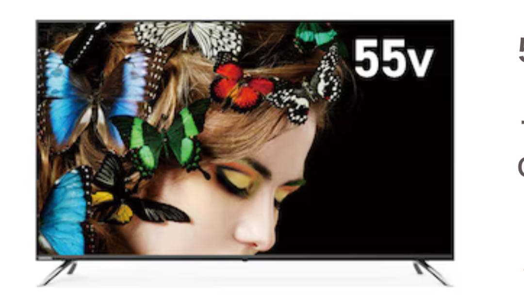 【新品未開封】オリオン55型ORION 55V 4K液晶テレビOL55XD100