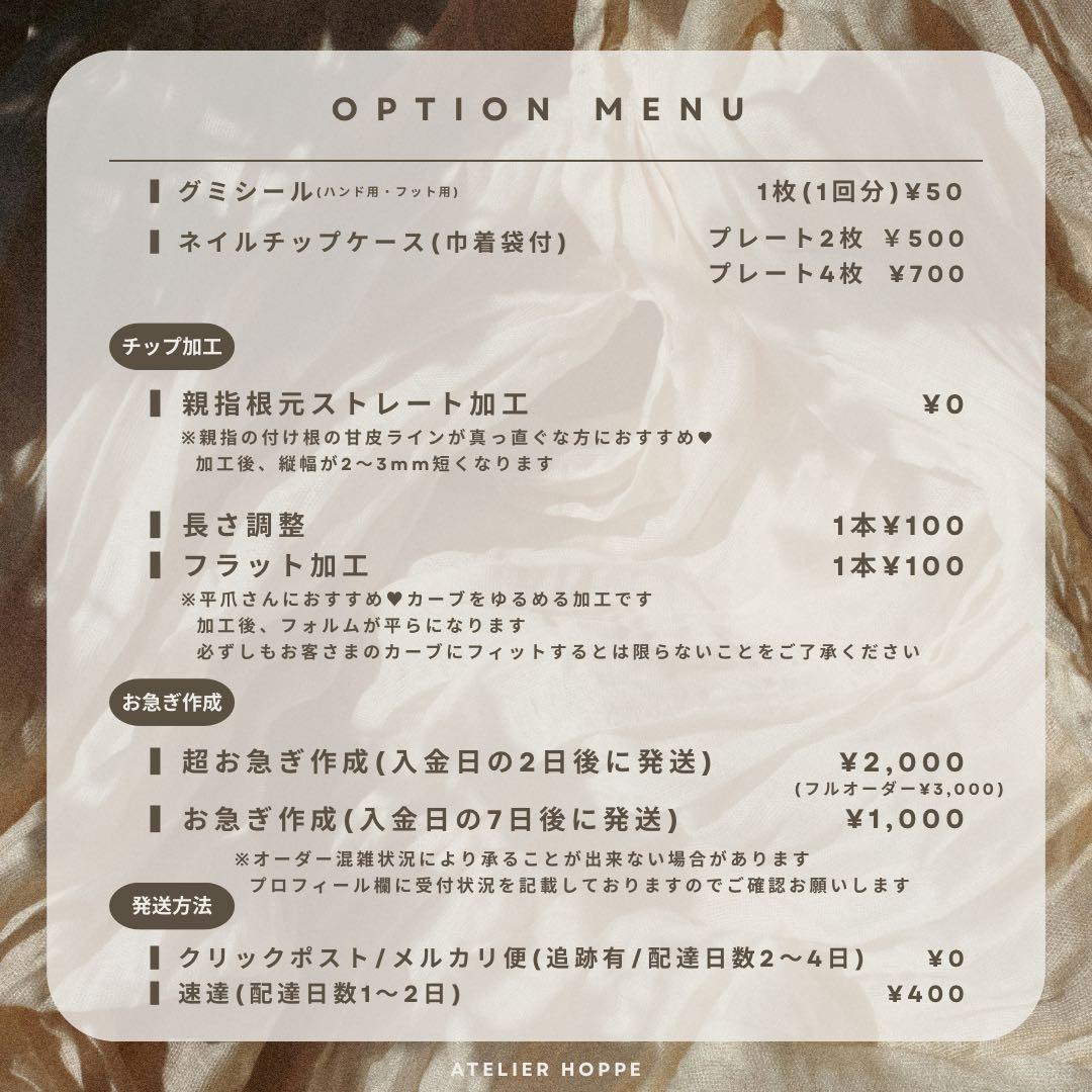 海♥ ネイルチップ no.018/no.021 【VS】