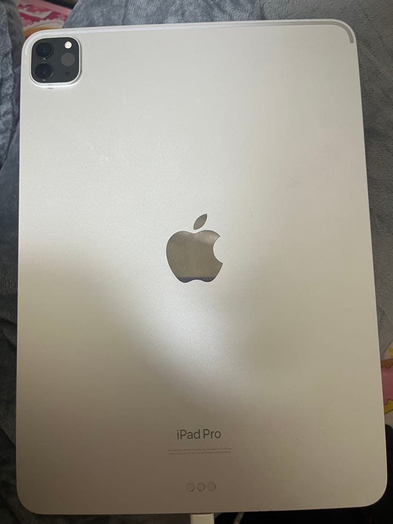 iPadPro 第4世代