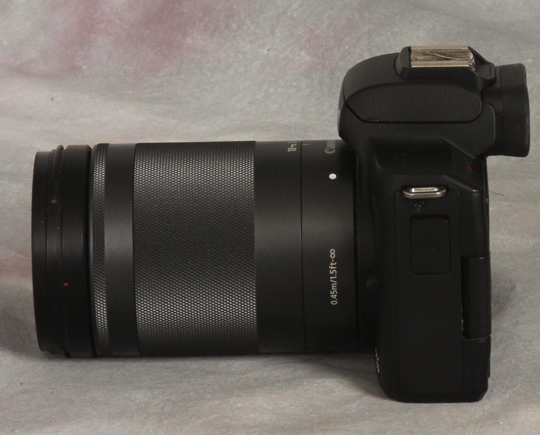 w*。様 Canon EOS Kiss M2 + 18-150mmレンズ付(ri