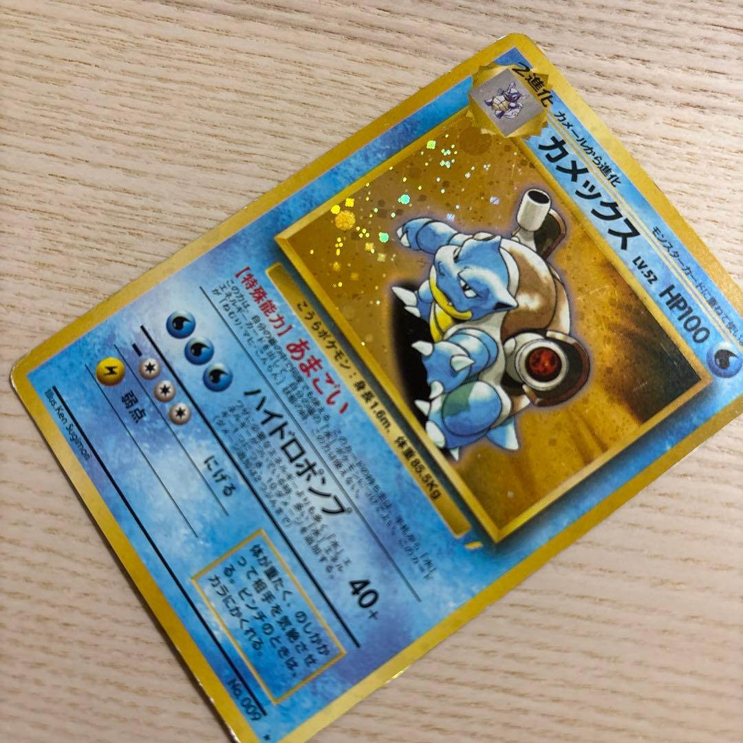 【NANAさん専用】カメックス_「とりかえっこプリーズ」