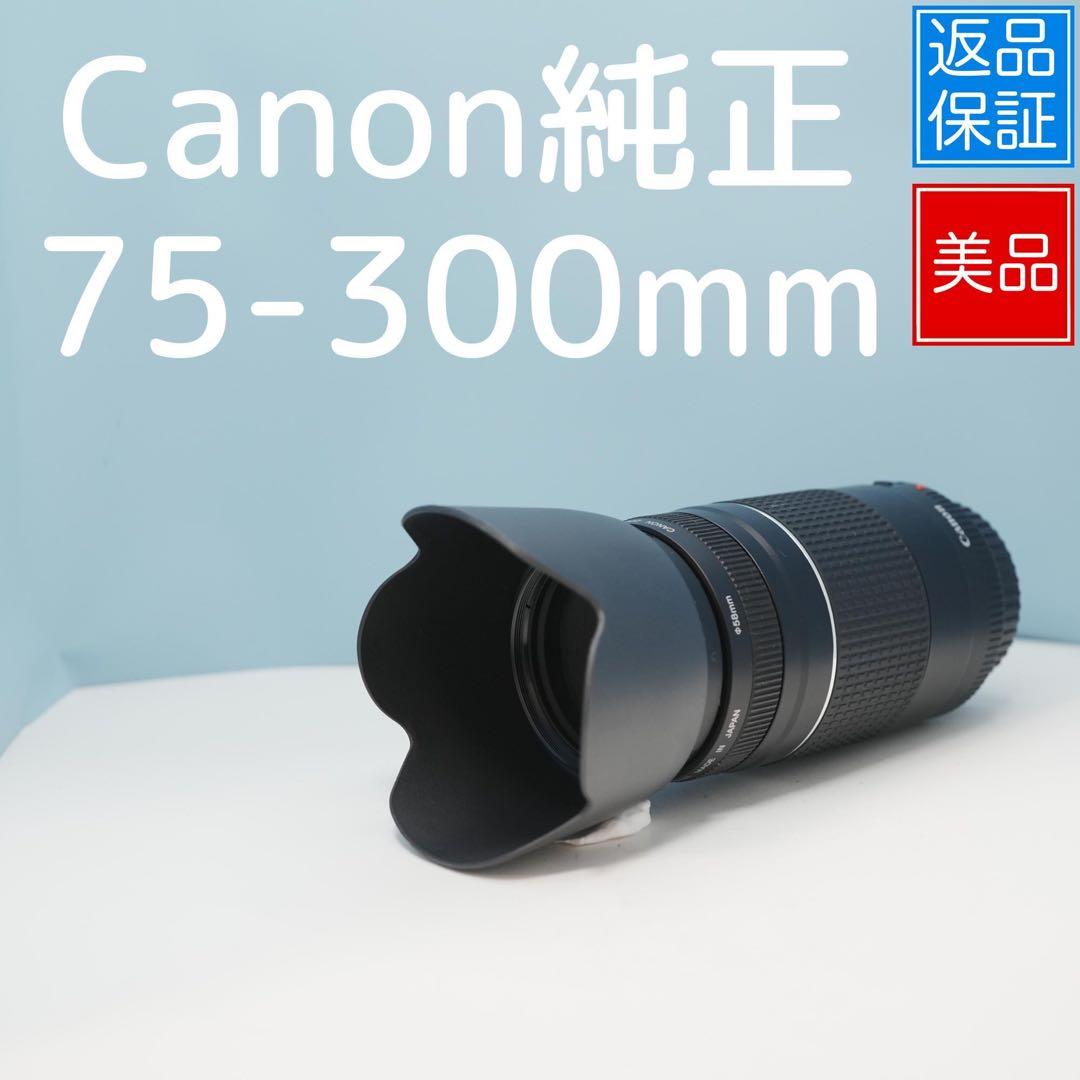 Canon純正 75-300mm 望遠レンズ 美品 a4553