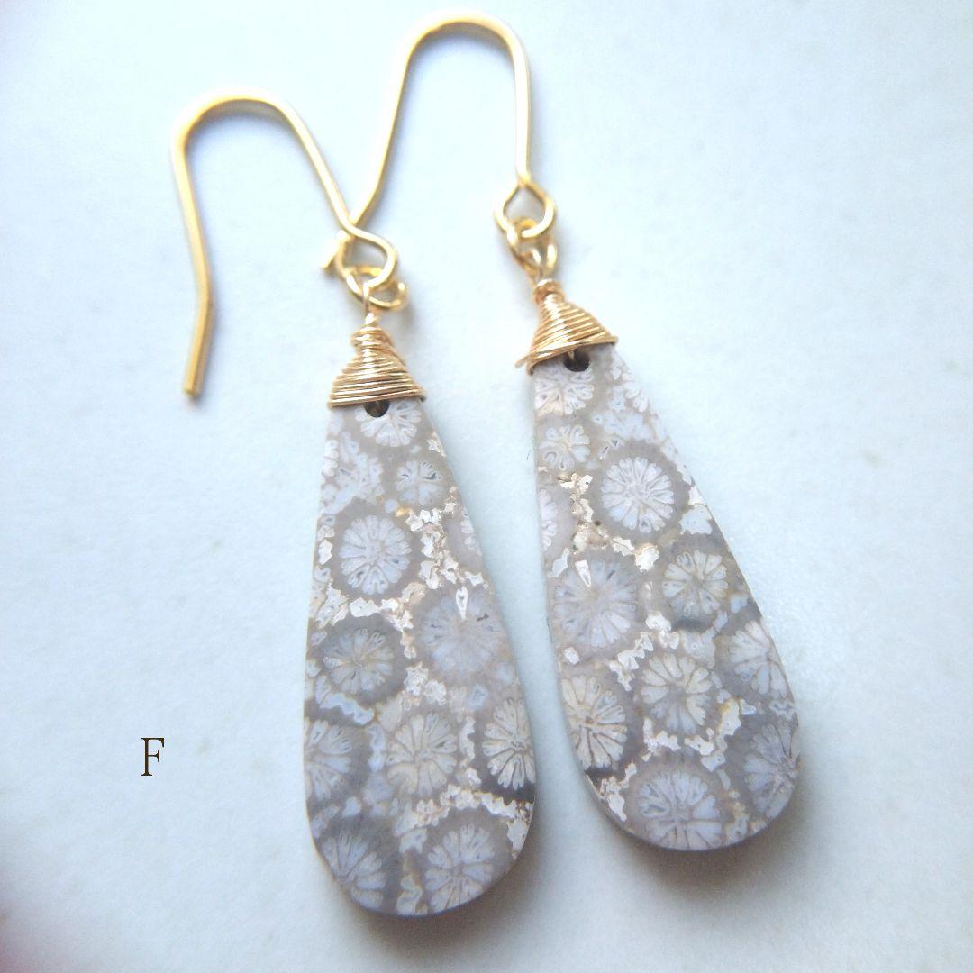 専用【F】珊瑚の化石 フォッシルコーラルのペアシェイプピアス