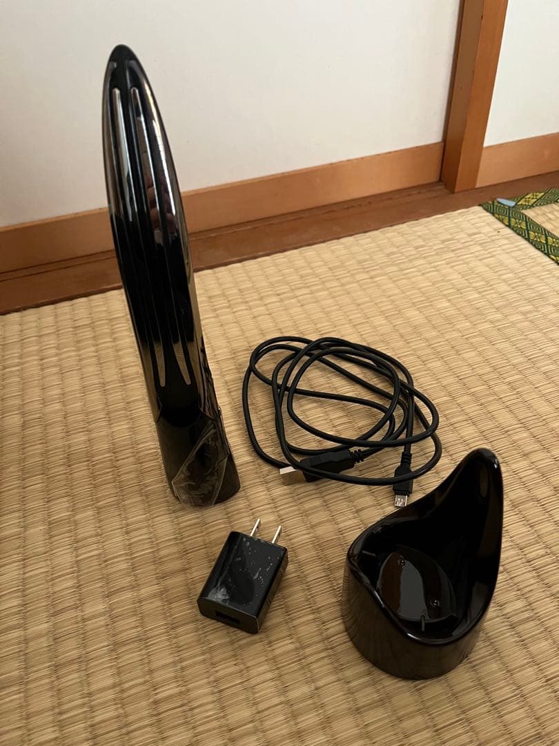 PYR KNIGHT 美顔器 ブラック