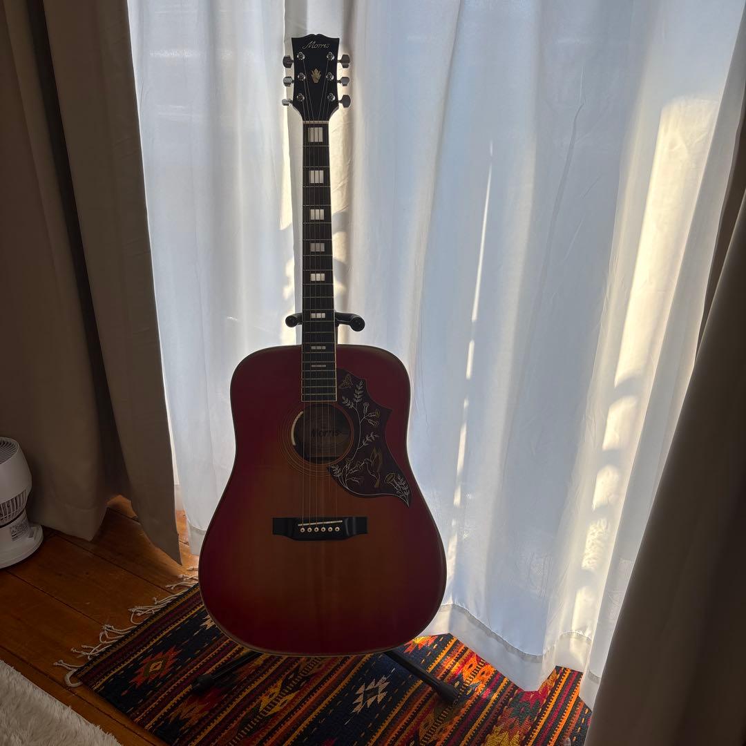 エレアコ仕様 Morris アコースティックギター
