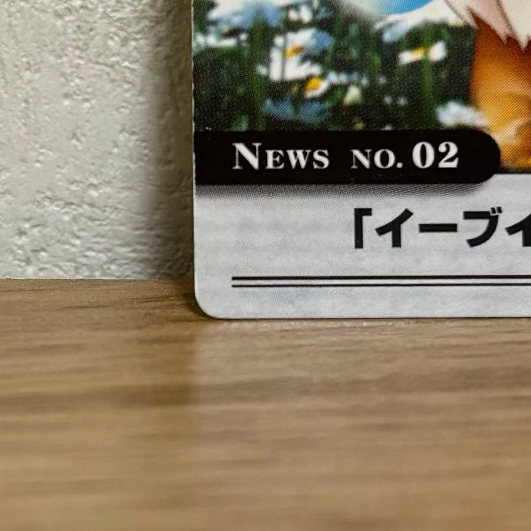 【1万円値下済】No.2「イーブイ、将来の夢は？」